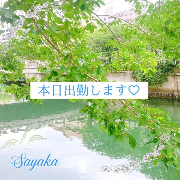 本日出勤します🩵