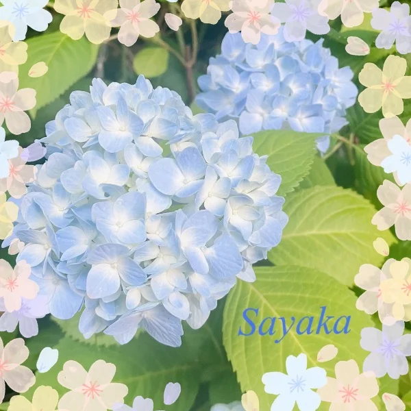 美しくエネルギーを与える存在として🩵