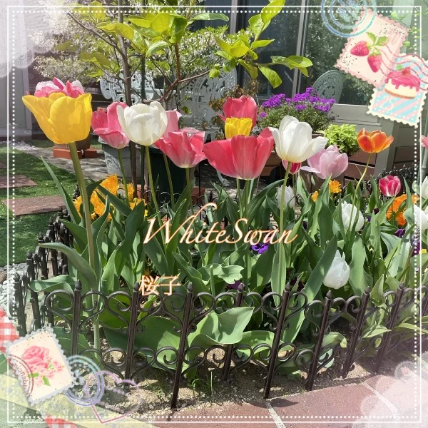 💌 本日はご指名ありがとうございました