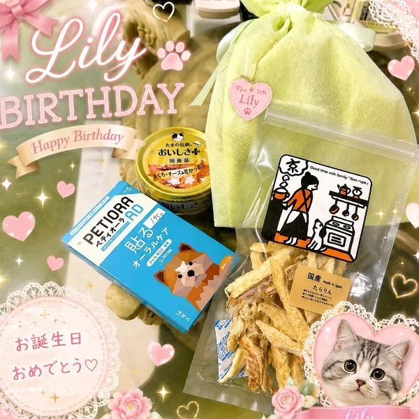 愛猫のお誕生日🍰💕