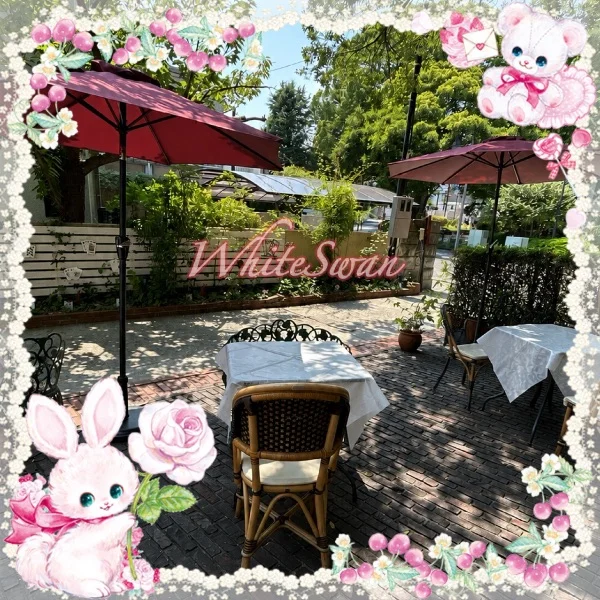 蝉の声と、夏のランチタイム🌿☀️
