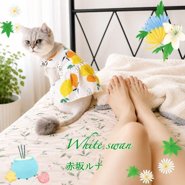 風邪治りました