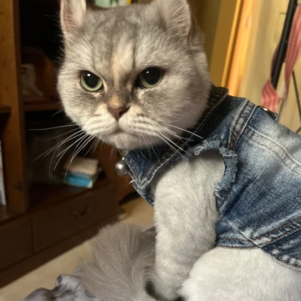 酸素カプセルと、生き金のお話