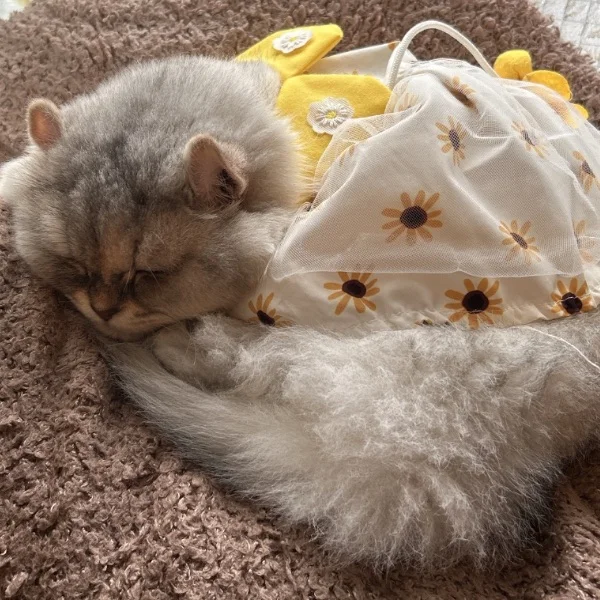 😊皆様の笑顔とさくらんぼ饅頭😊