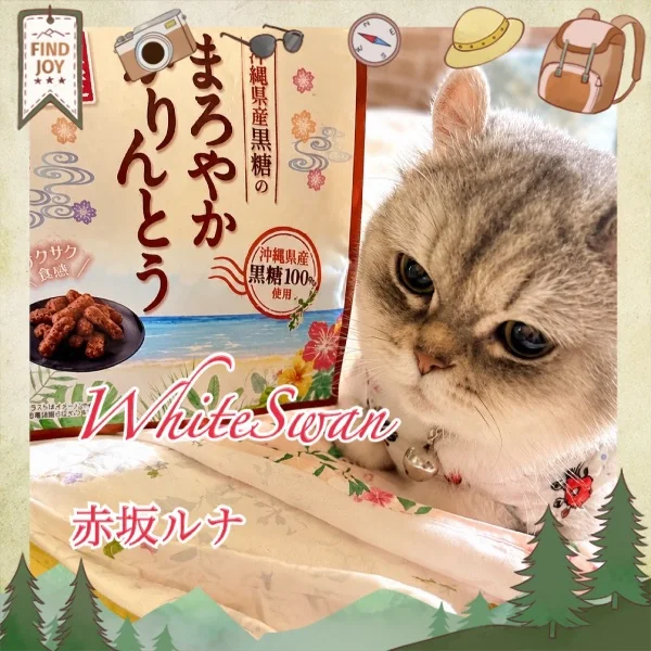 雨の夜と、ちょっぴり甘い栄養補給🍙🐱💕