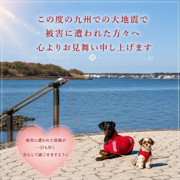 九州での大地震に心を寄せて