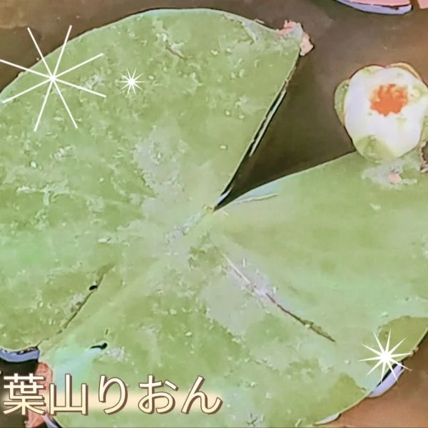 (木)お疲れ様でした🍀*゜