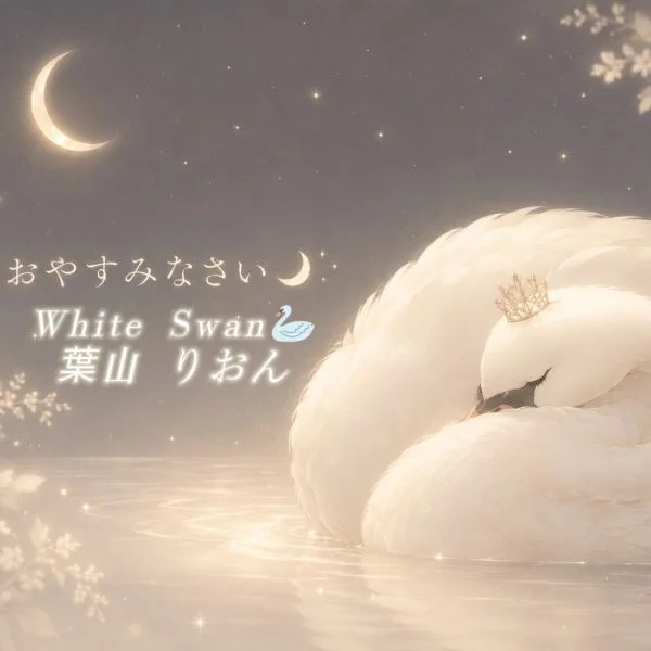 おやすみなさい☆。.:＊・゜