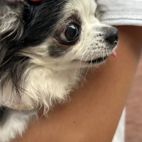 本日はご指名ありがとうございました💕