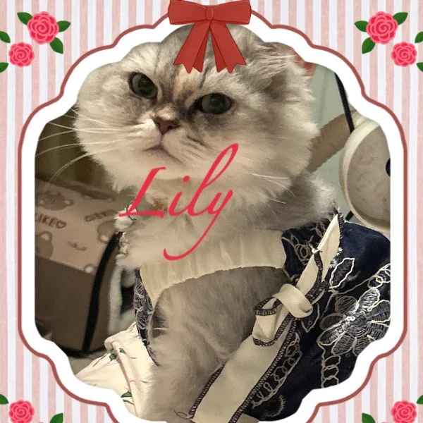 本日もお疲れ様ฅ( ̳• ·̫ • ̳ฅ)にゃ♡