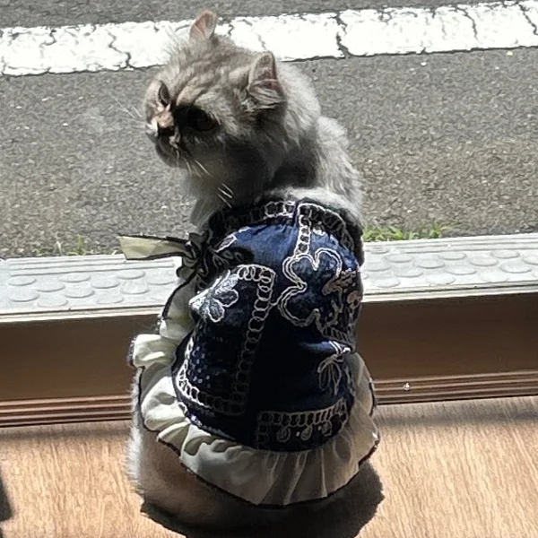 おかーたんと一緒にムービー撮影📽🎞𓂃◌𓈒𓐍