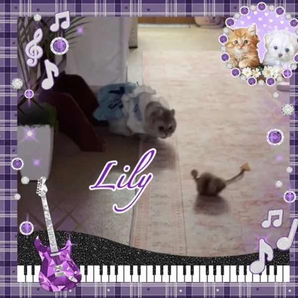 Lilyのひとりごと🐾💗