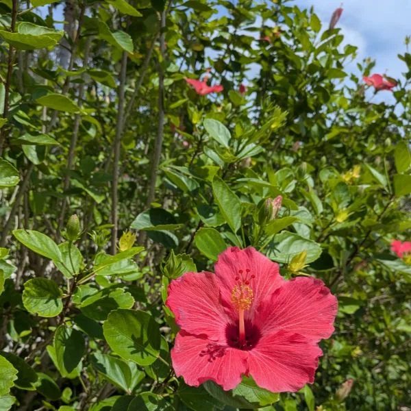 🌺3連休最終日🌺