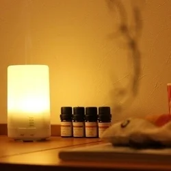 お店のコースその3