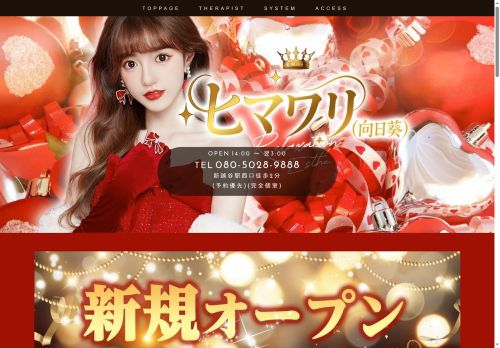 ヒマワリ～向日葵～の公式ホームページ