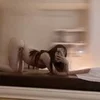 ルリ