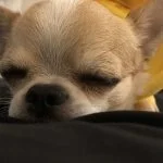 採用担当の中川さん