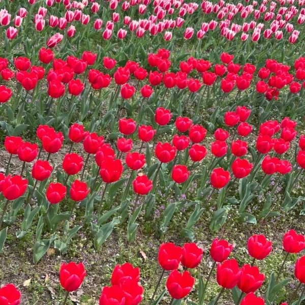 ☁️ 明日だけの予定変更♪