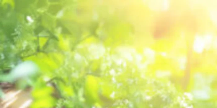 登戸メンズエステ クル 〜Kulu〜