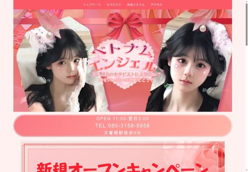 ベトナムエンジェルの公式ホームページ