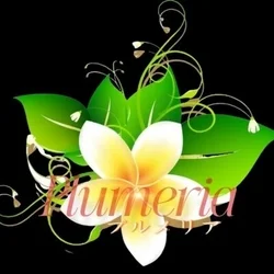 Plumeria(プルメリア)