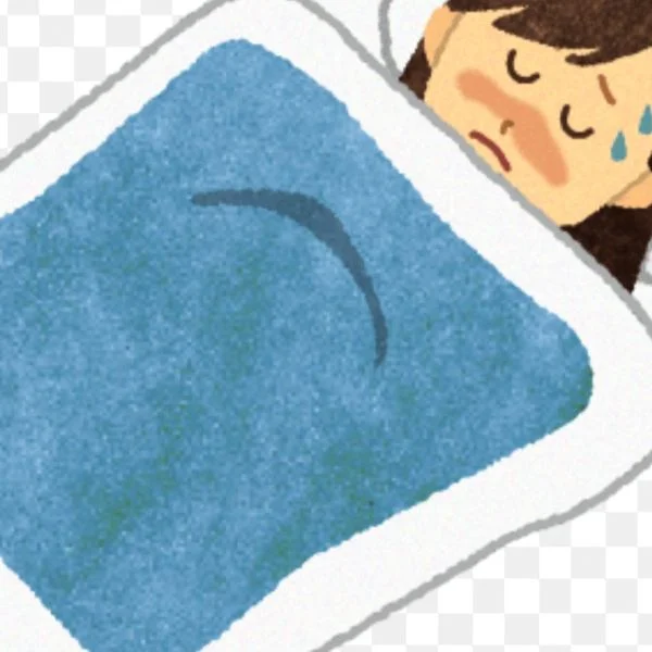 体調崩してしまいました