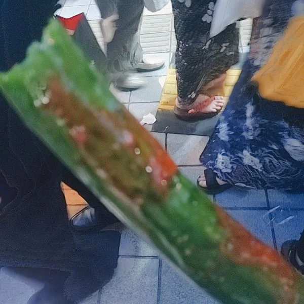 とうさかん