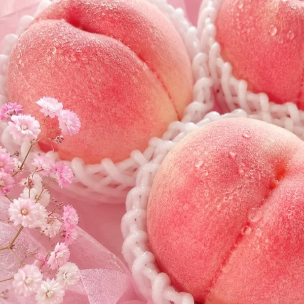 リピ様・新規様へ🌸