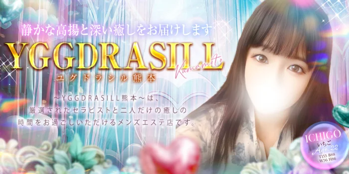 YGGDRASILL熊本