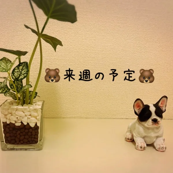 25日〜30日まで💫