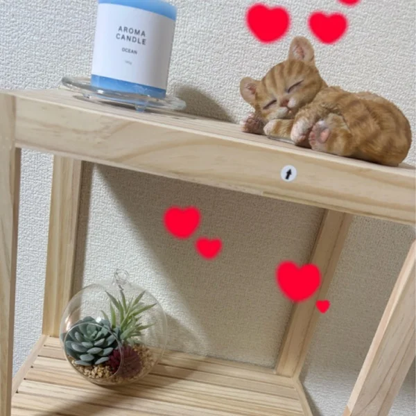 明日🫶