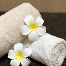 お店のコースその2