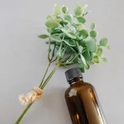 お店のコースその1