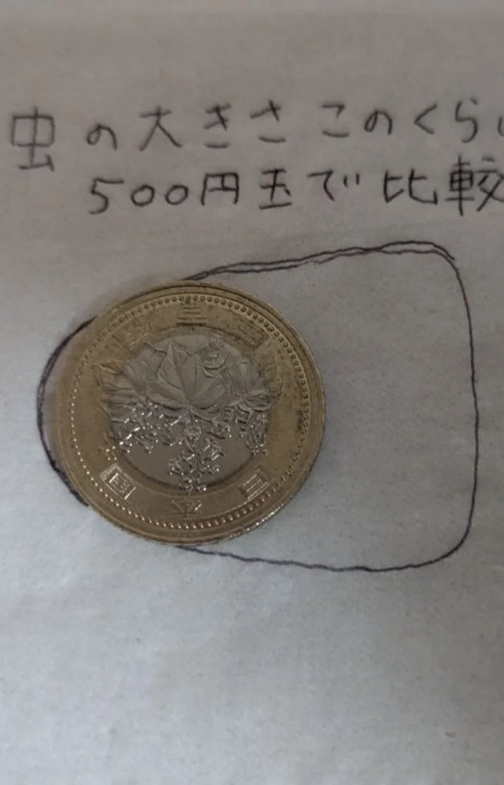 今日はとっても長文です(読まなくても全然大丈夫な話です💦)