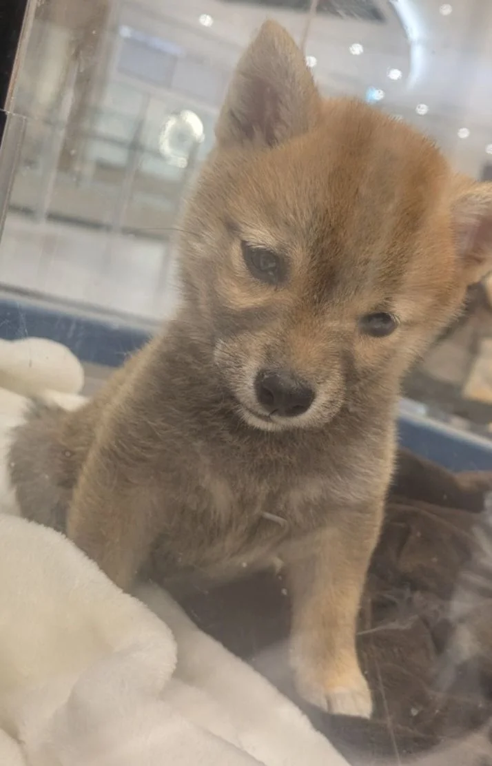 今日も待ってます🥰️