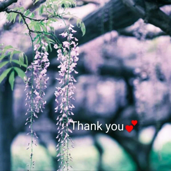 昨夜のお礼♡