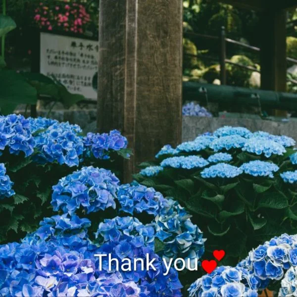 昨夜のお礼♡
