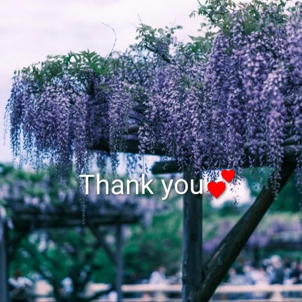 昨日のお礼♡