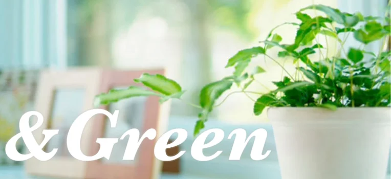 ＆Green
