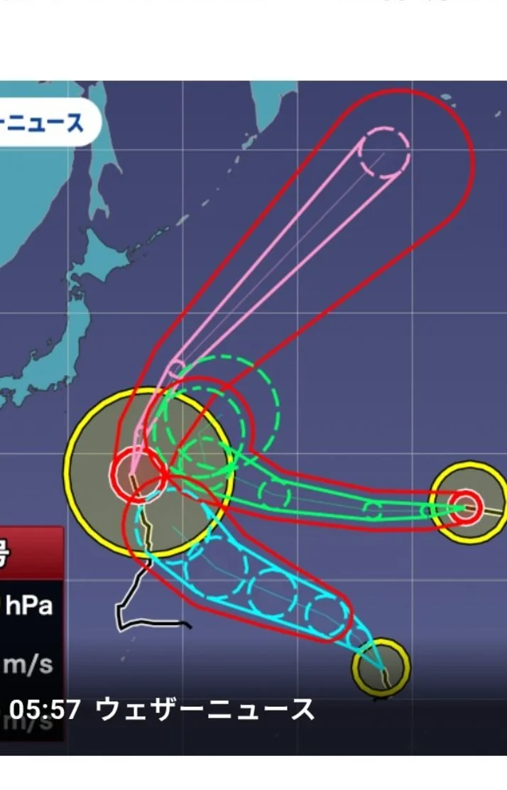 おはようございます٩(*´꒳`*)۶