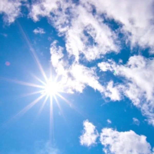 本日もありがとうございました✧︎*。