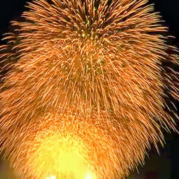 花火大会✺⋆*