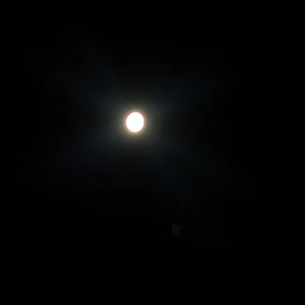 本日15時～22時まで千葉です♬.*ﾟ