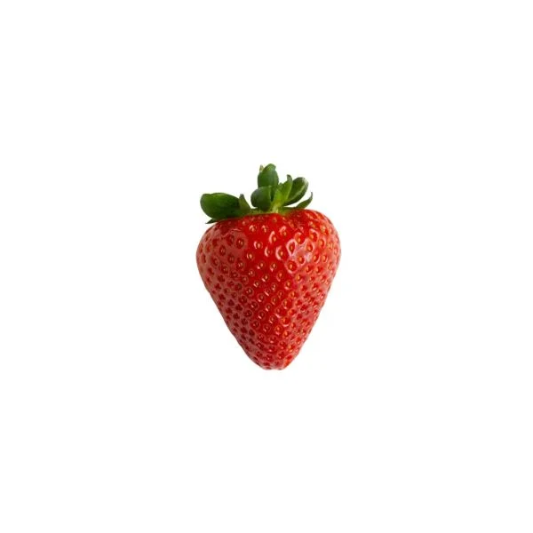いちごの差し入れいつもありがとう!!