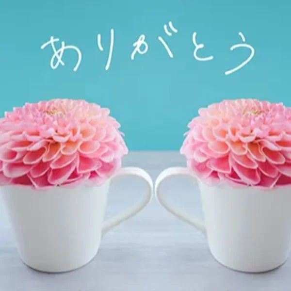 素敵な時間をありがとうございます♡♡
