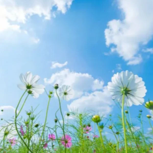 おはようございます