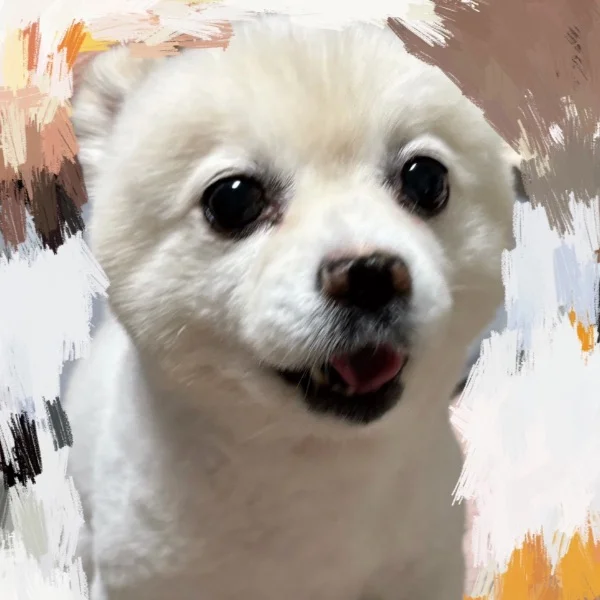 今日はおやすみ♥