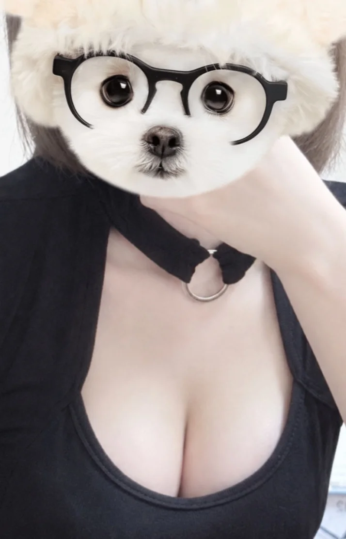 本日21:00から出勤します(၄၃ᴗ͈ˬᴗ͈)⁾⁾