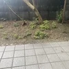 今日は朝練から開始。のサムネイル