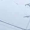 求人応募の多い日曜日。のサムネイル